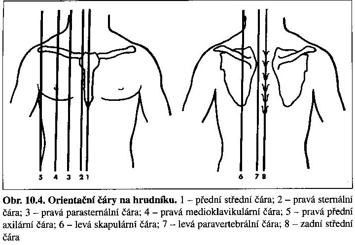 Orientační čáry na hrudníku.jpg